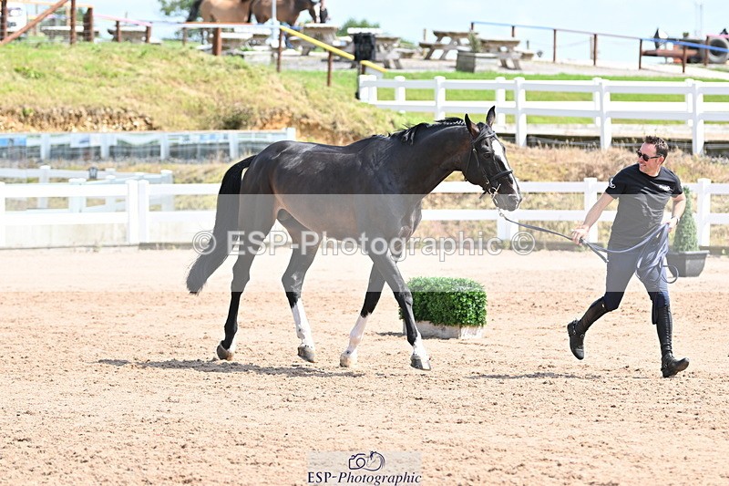 240717A-151420-02669 - Trot Up 3pm to 4pm