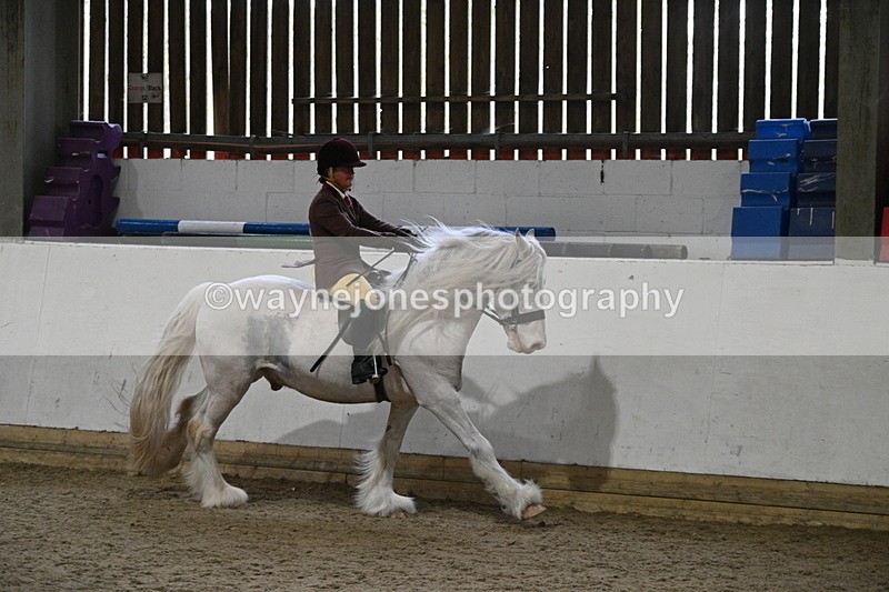 WJ7_4231 - Class 17 Ridden Cob