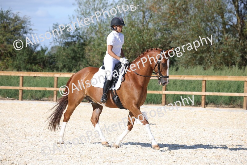 20260905-1532 - Class 5 - Novice 2