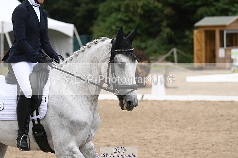 250720A-150206-12091 - 103-Olivia.Van.Grudgings-Pencarder.Cry.for.the.Moon