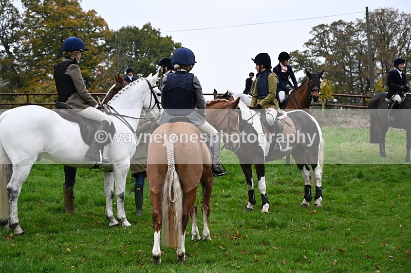 WJ7_7397 - The Meet