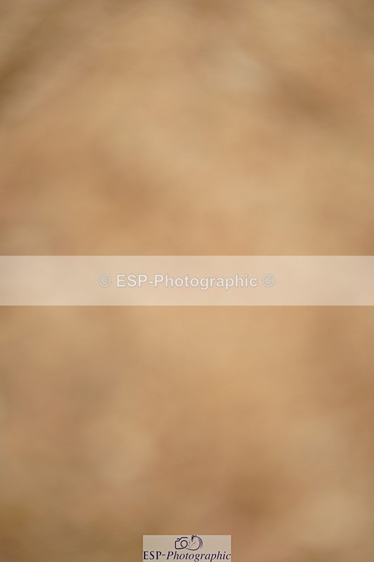 240317A-150026-07439 - Cls 28 Snr Newcomers