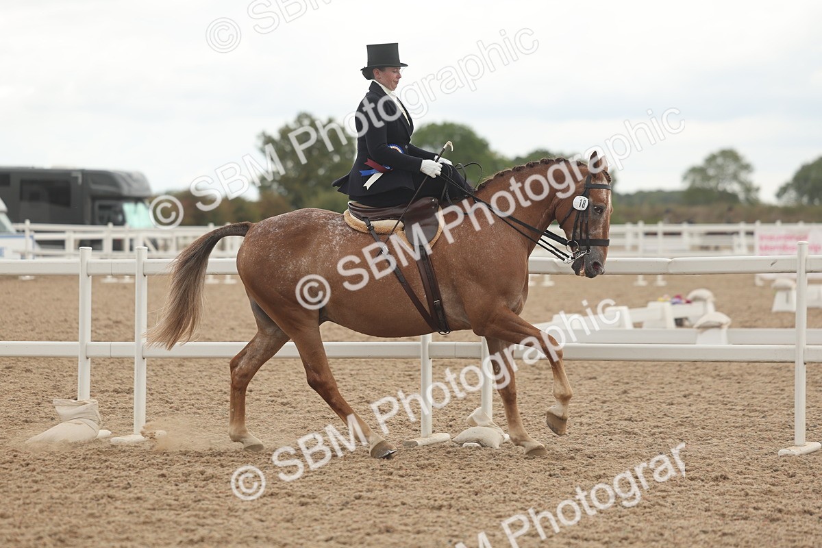 SBM_06307 - Class 23 - SSA - Classical