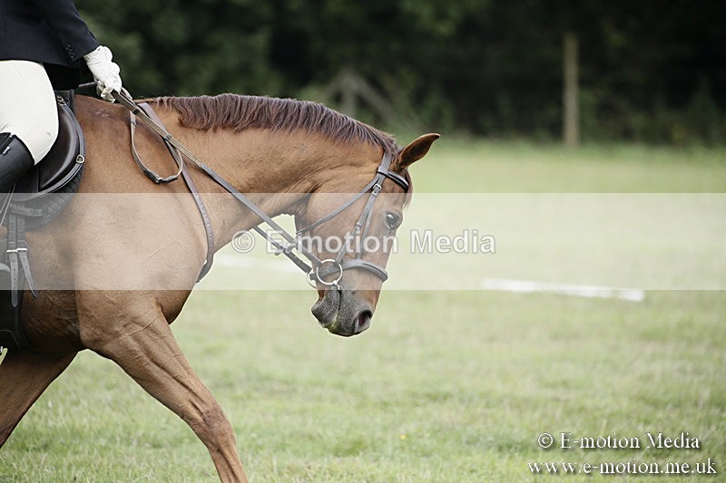 BVR090918 129 - BVRC Dressage and Show Jumping 09/09/18