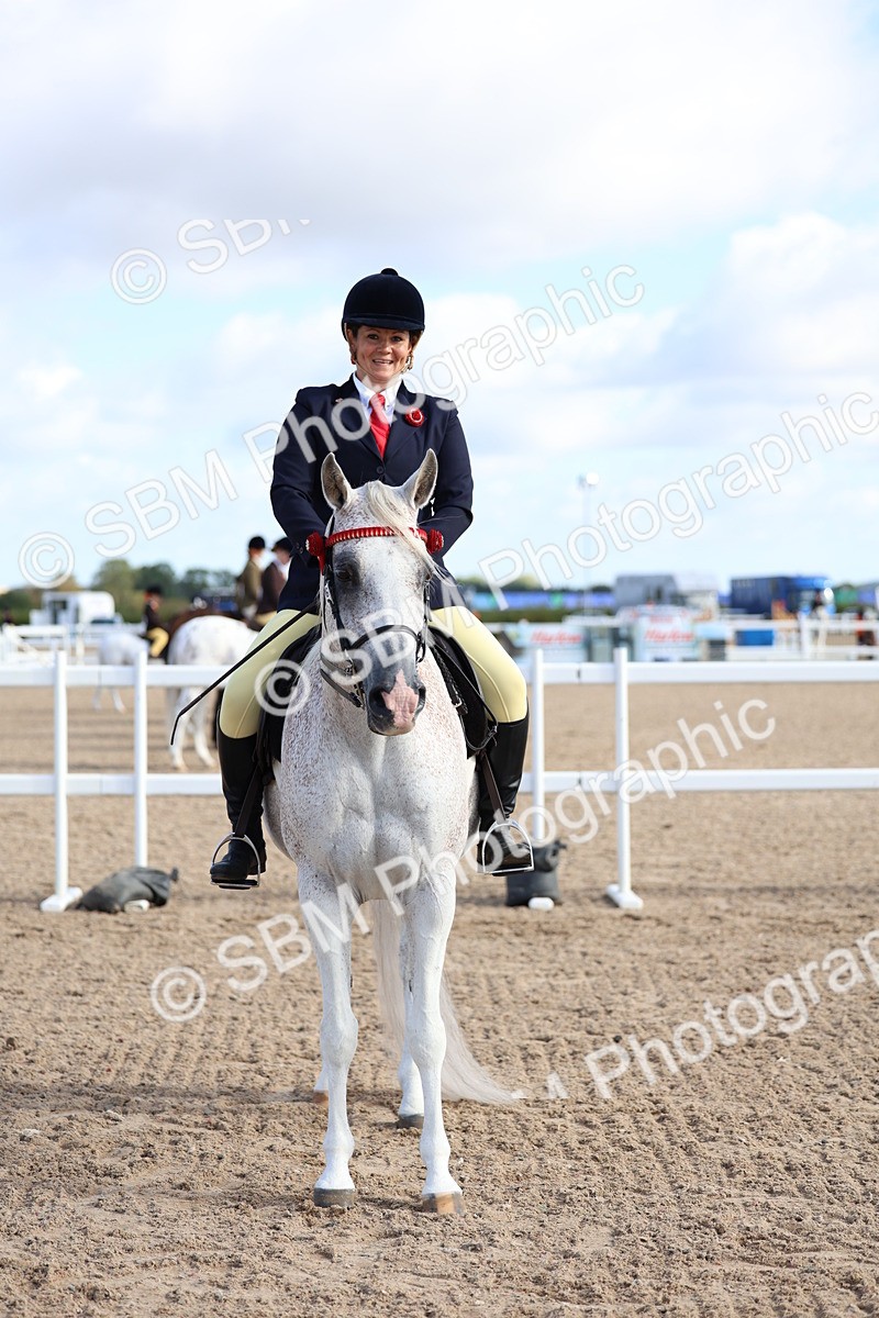 SBM_09145 - Class 303 - Ridden Pure Bred Horse Pony