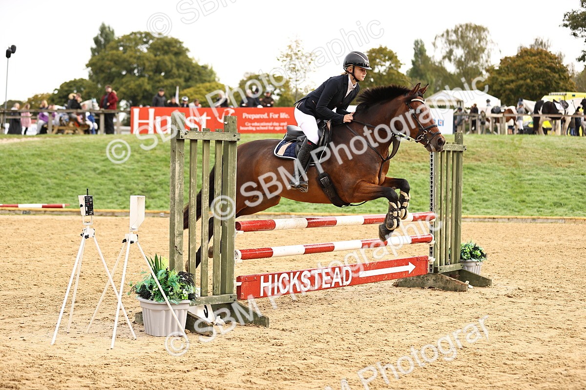 SBM_58421 - J41 - Grand Tour Horse & Pony 95cm