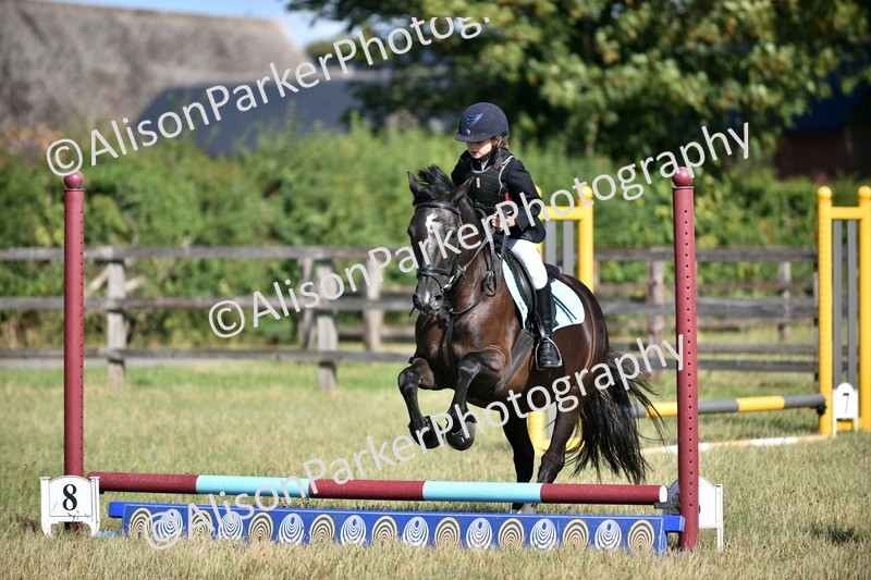 20260906-0948 - Class 7 - Absolute Novice Jumping 35cm