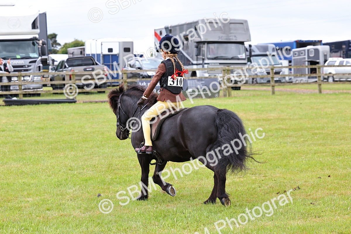 SBM_08667 - Class 42-43 - LIHS BSPS Heritage Working Sports Pony