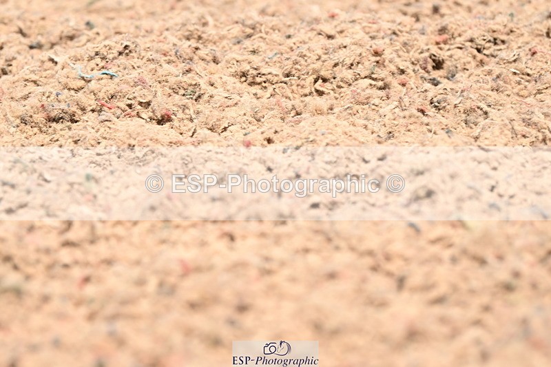 240621A-133420-04107 - Cls 8 BD Elementary 53