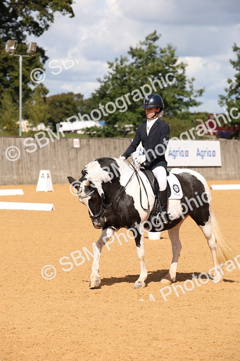 SBM_06648 - D8 Small Tour Championship Prelim 7