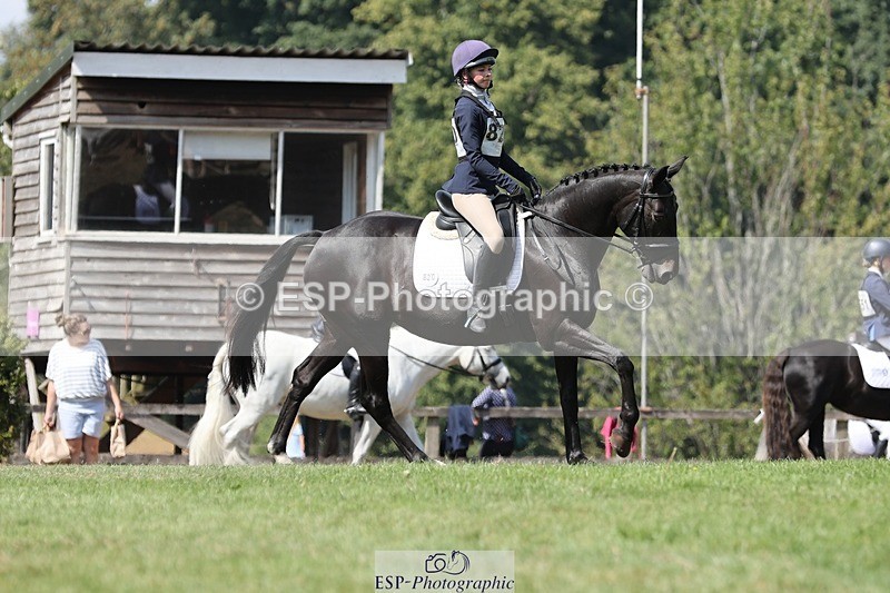 250823A-122449-29500 - Arena D