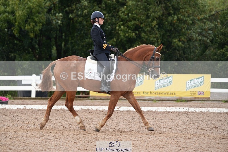 250907-153628-09583 - 122-India.JohnGrayswood.Orlando