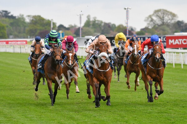 yr14052021r1-13 - Race 1 1.40pm Langleys Solicitors British EBF Marygate Fillies' Stakes