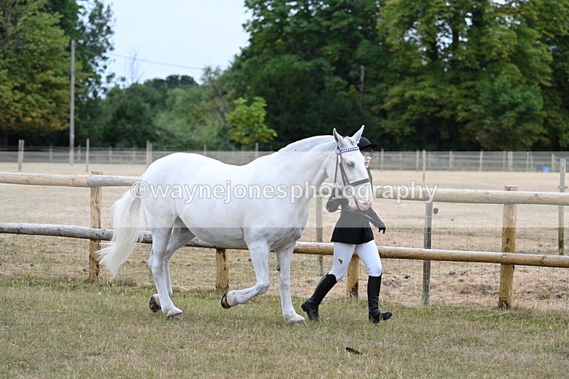 WJ7_8871 - Class 4a Prettiest Mare 14.2hh and over