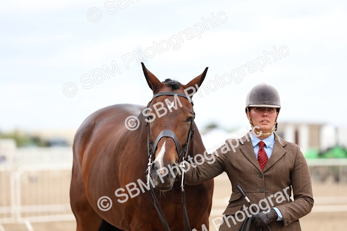 SBM_05788 - Class 28 - IH Veteran Horse