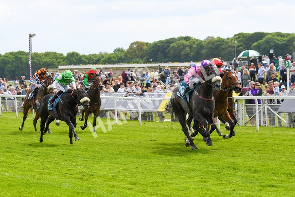170523-Race 3-Azure Blue-0451 - Race 3 3.00pm 1895 Duke of York Clipper Logistics Stakes