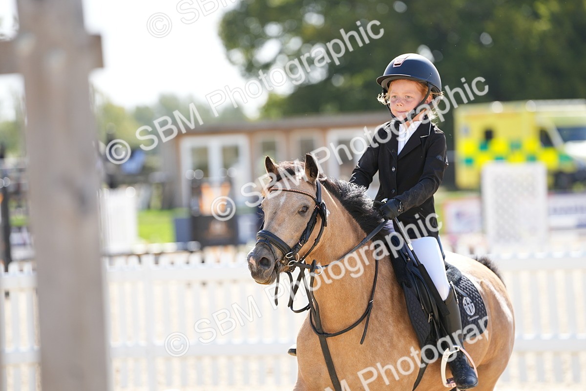 SBM_18217 - J58 - Clear Round 50cm