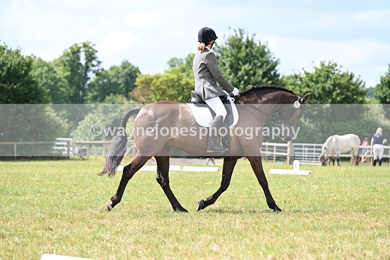 WJ7_4793 - Time 11:22 to 11:51