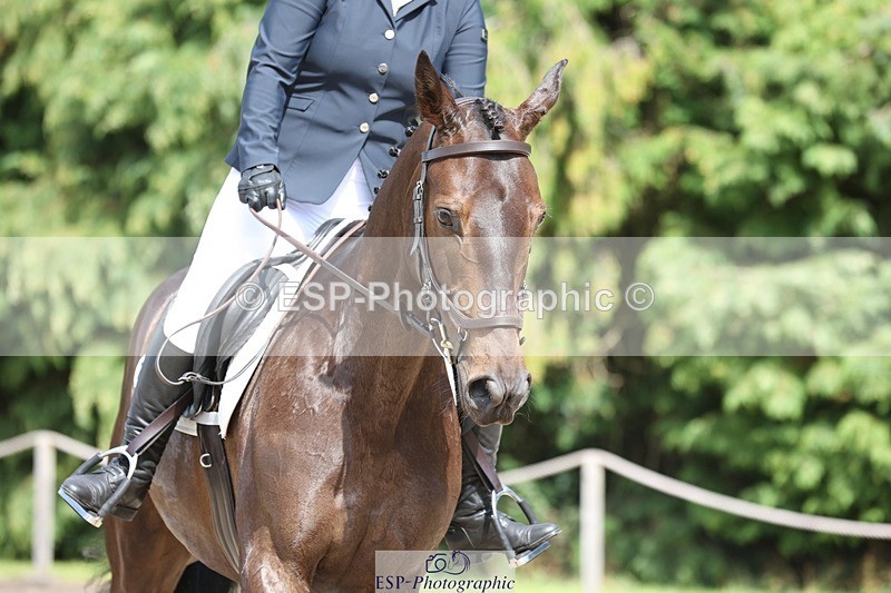 230811-151010-02386 - Cls 1 Prelim Bronze 15.00 to End