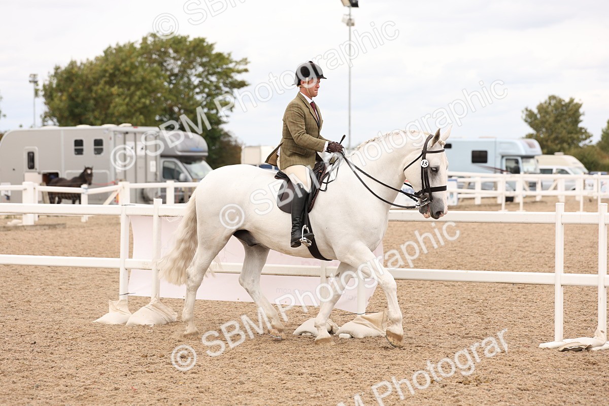 SBM_17191 - Class 213 - Ridden Hunter - Large