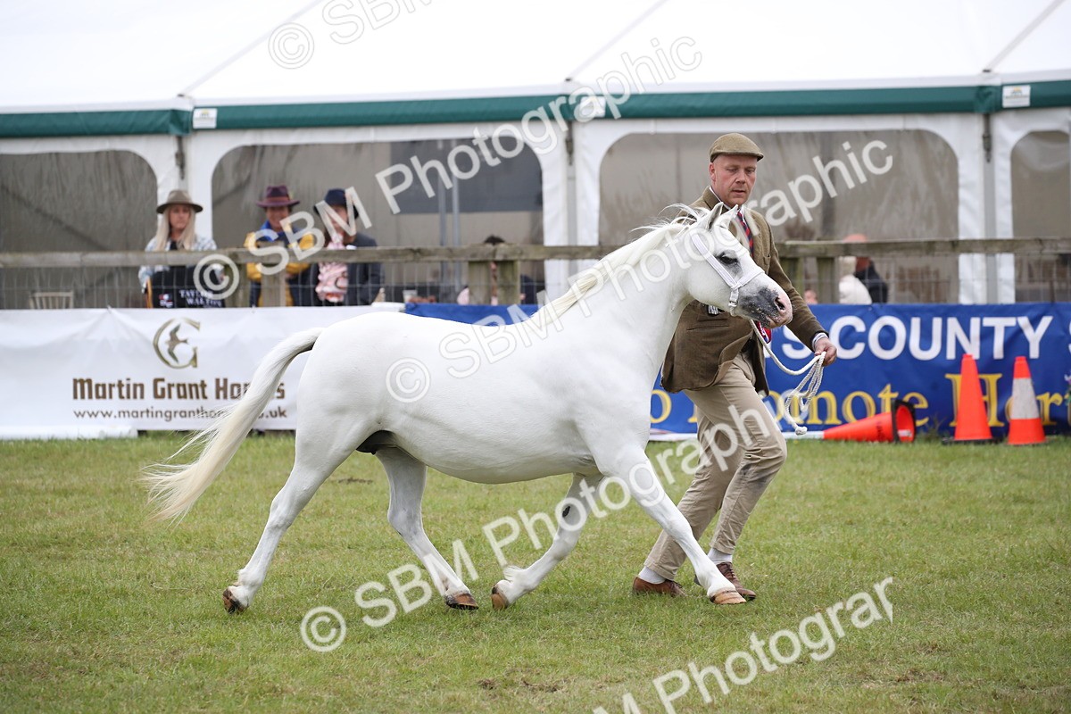 SBM_09837 - Ch 50 - Price Family Supreme In Hand