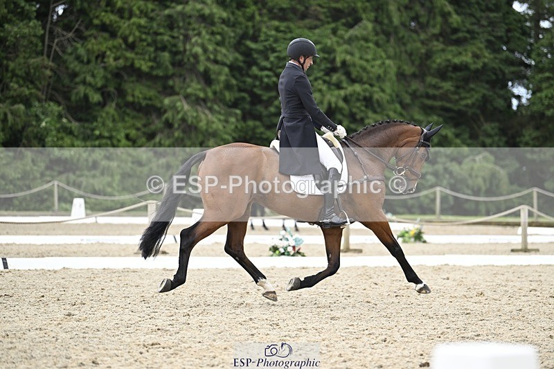 240523-155911-05360 - 452-FALCO_IV-Tim_Price