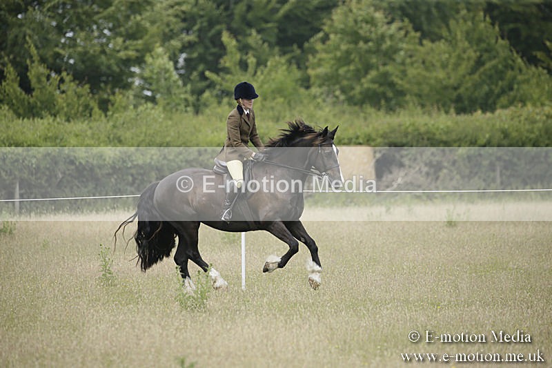 B230619-0488 - Bourne Valley Riding Club Summer Show 23/06/19