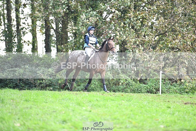 231021-145955-19830 - 482-ODDSPOT.VITAL.ELEMENT-Danielle.Davies-SC+XC