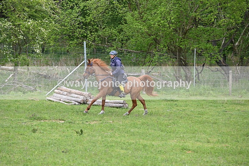 WJ6_3218 - A camera