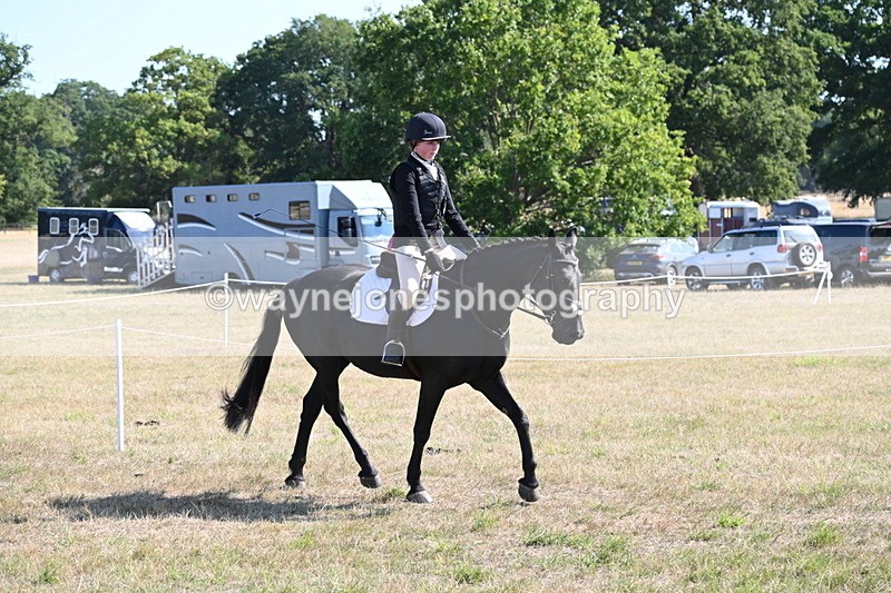 WJ6_7523 - Class 34 Judges Choice