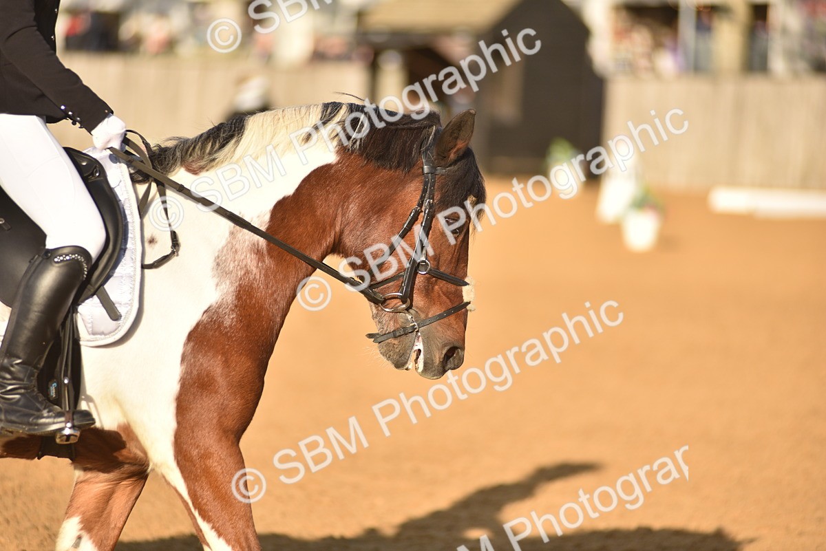 SBM_53392 - D24 - Junior Championship Prelim 3