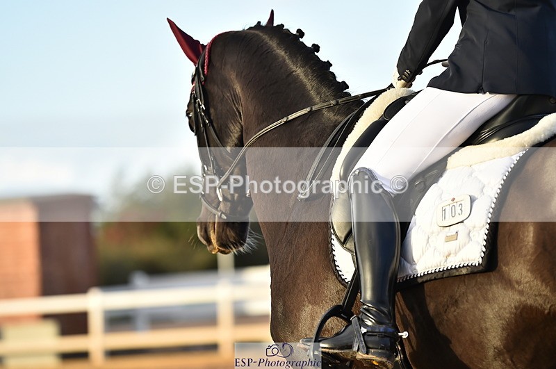 231104A-151540-02303 - Cls 14 Adv Medium 98