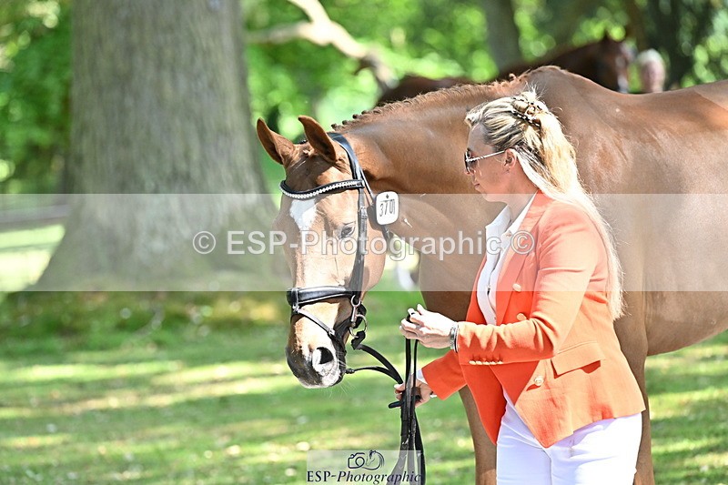 250521A-153717-00639 - B-370-Emma.Hyslop-Webb-KBS.TIME.TRAVEL