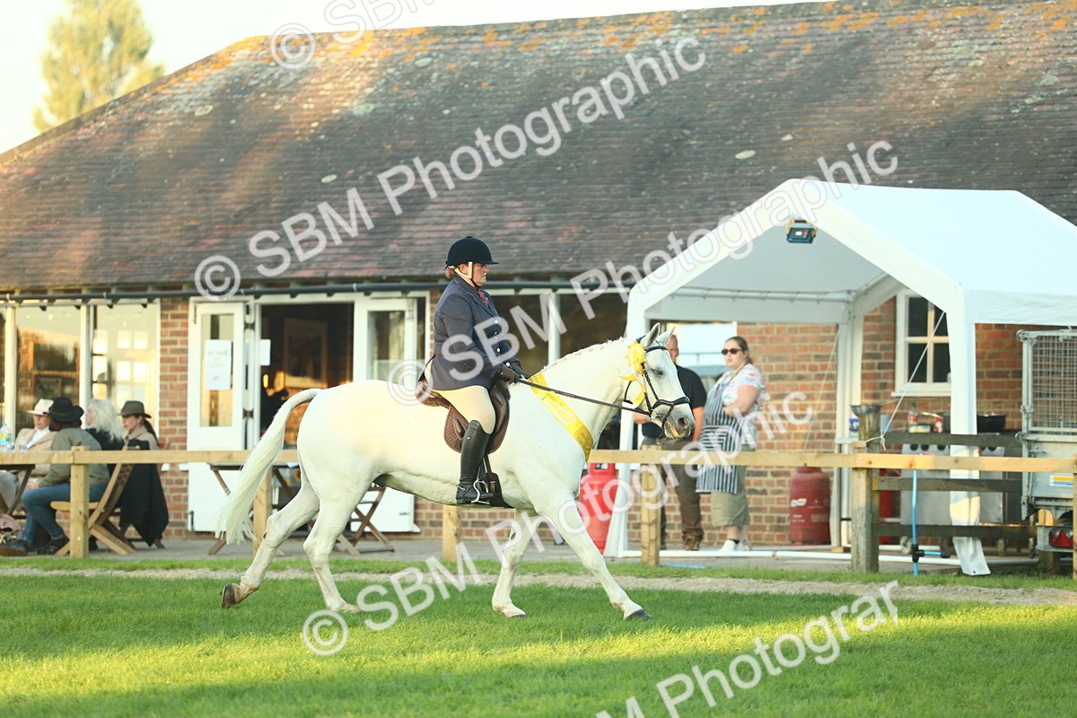 SBM_56588 - S14 - Riding Club Horse