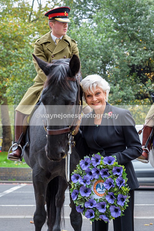 NGP_8137 - 2024 Animals in War Remembrance Gathering
