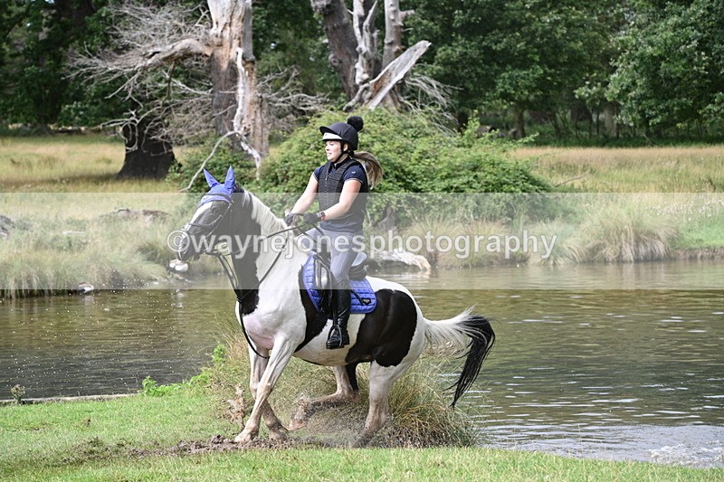 WJ7_1946 - Time at Water 10:48 to 11:13