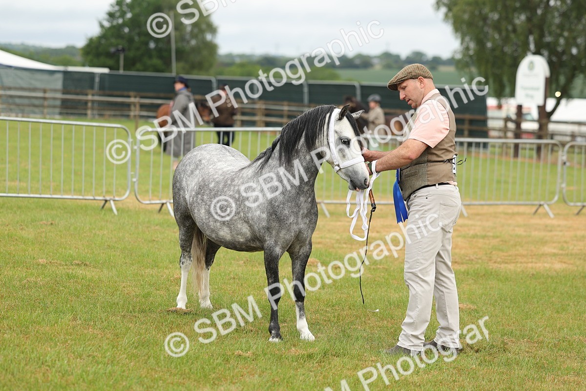 SBM_01414 - Class 50-57 - M&M Welsh Pony In Hand