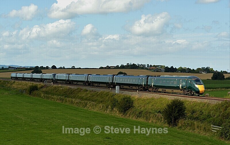 17th Aug 2019 - Curry Rivel (Oathe, Wick), Somerset