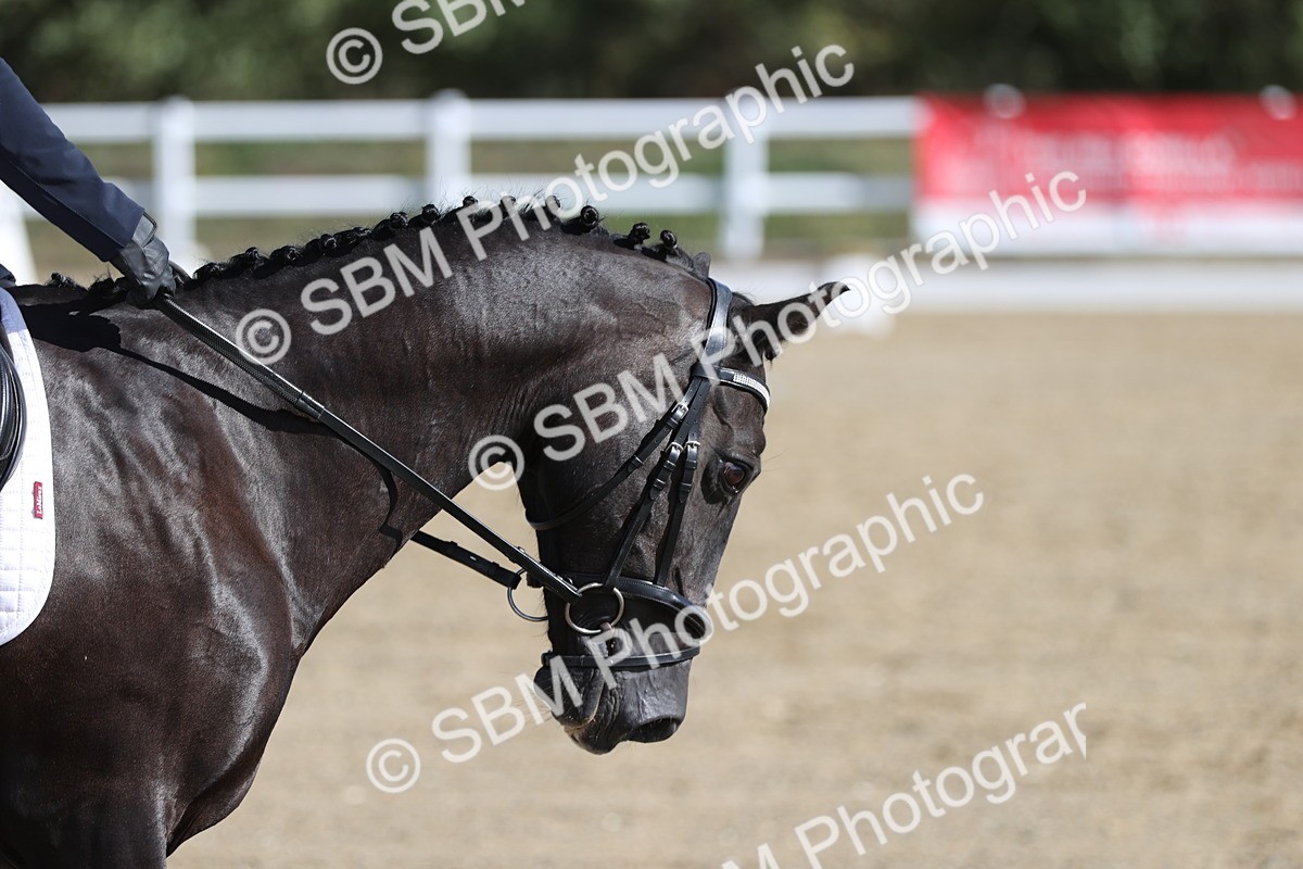 SBM_001245 - Class 2 - Intro 4 Champs - 9.44-10.38