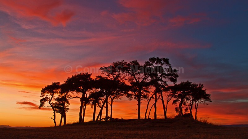 The Gathering - Fire