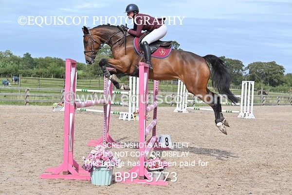 BPP_3773 - CLASS 43 SUN Senior Newcomers/ 1.10m Open