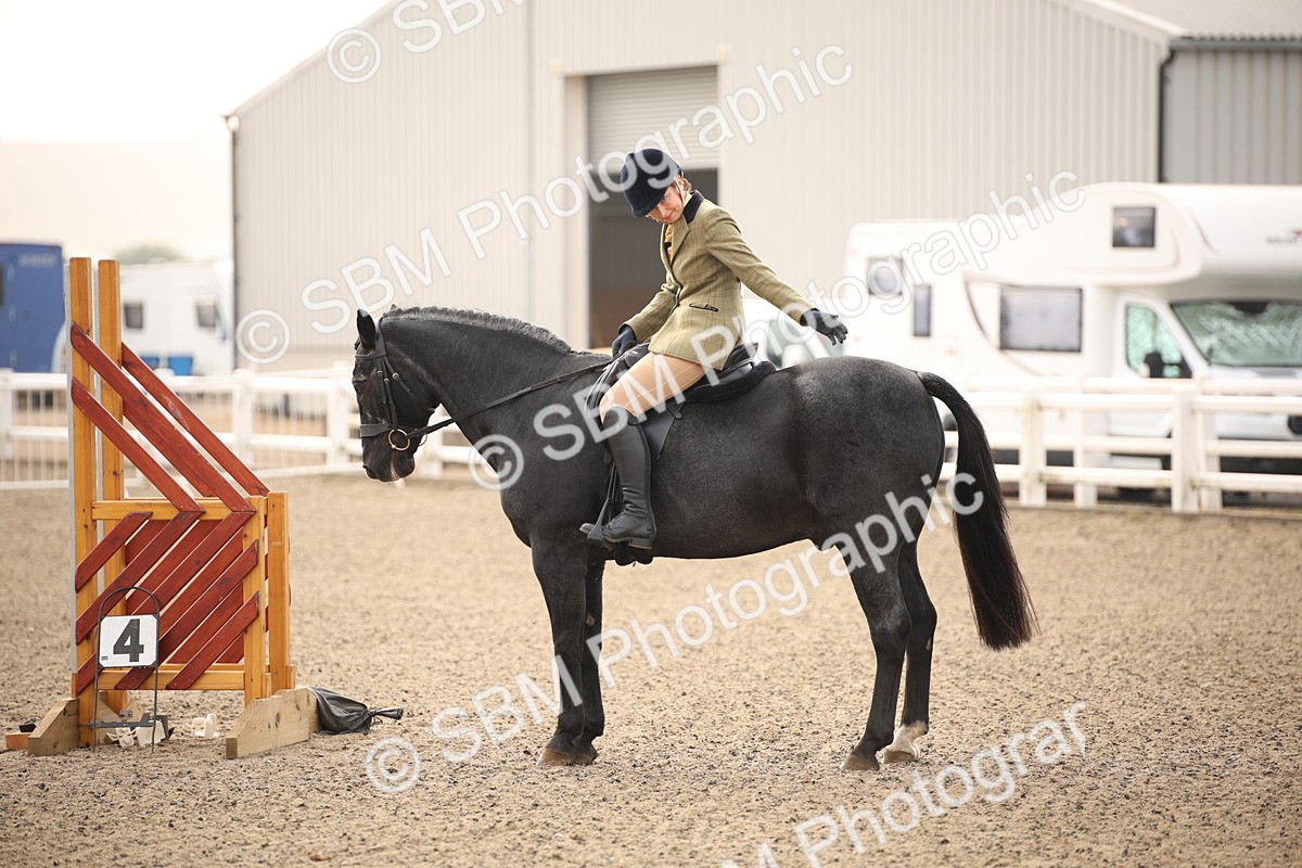 SBM_09775 - Class 401 Riding Club Pony