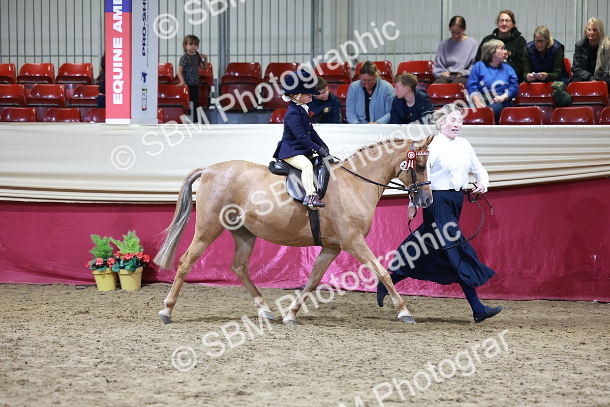SBM_20546 - Class H - IH Competition - Riding Club champ