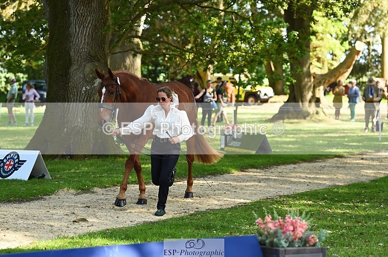 230524-164326-01048 - 112-BILLY_MAPLE-Kitty_King-WEDTrotUp+DR