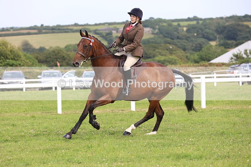 JPP_4179 - Class 25: Working Show Horse