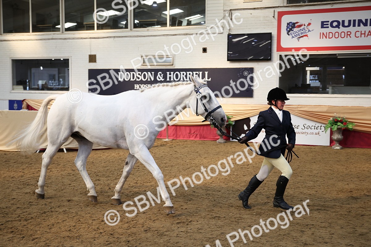 SBM_24778 - Class 906 - Supreme Final - Ridden Pre Vet