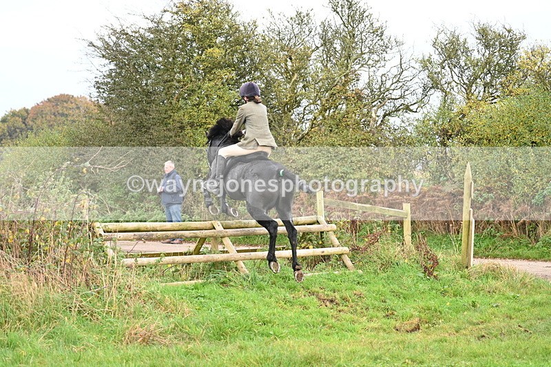 WJ7_0374 - Camera 1 & Last fence