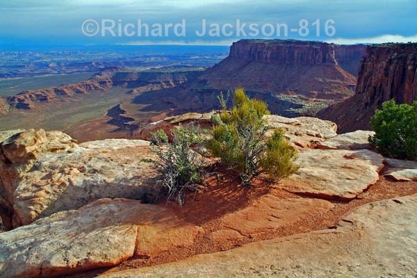 Still Here - Canyonlands National Park