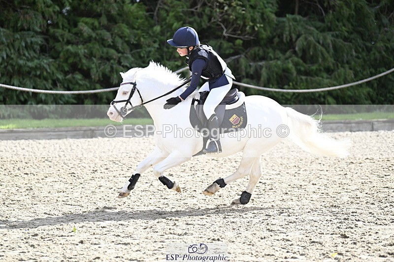 251005A-121737-03712 - Cls 08 Mini 70-75cm