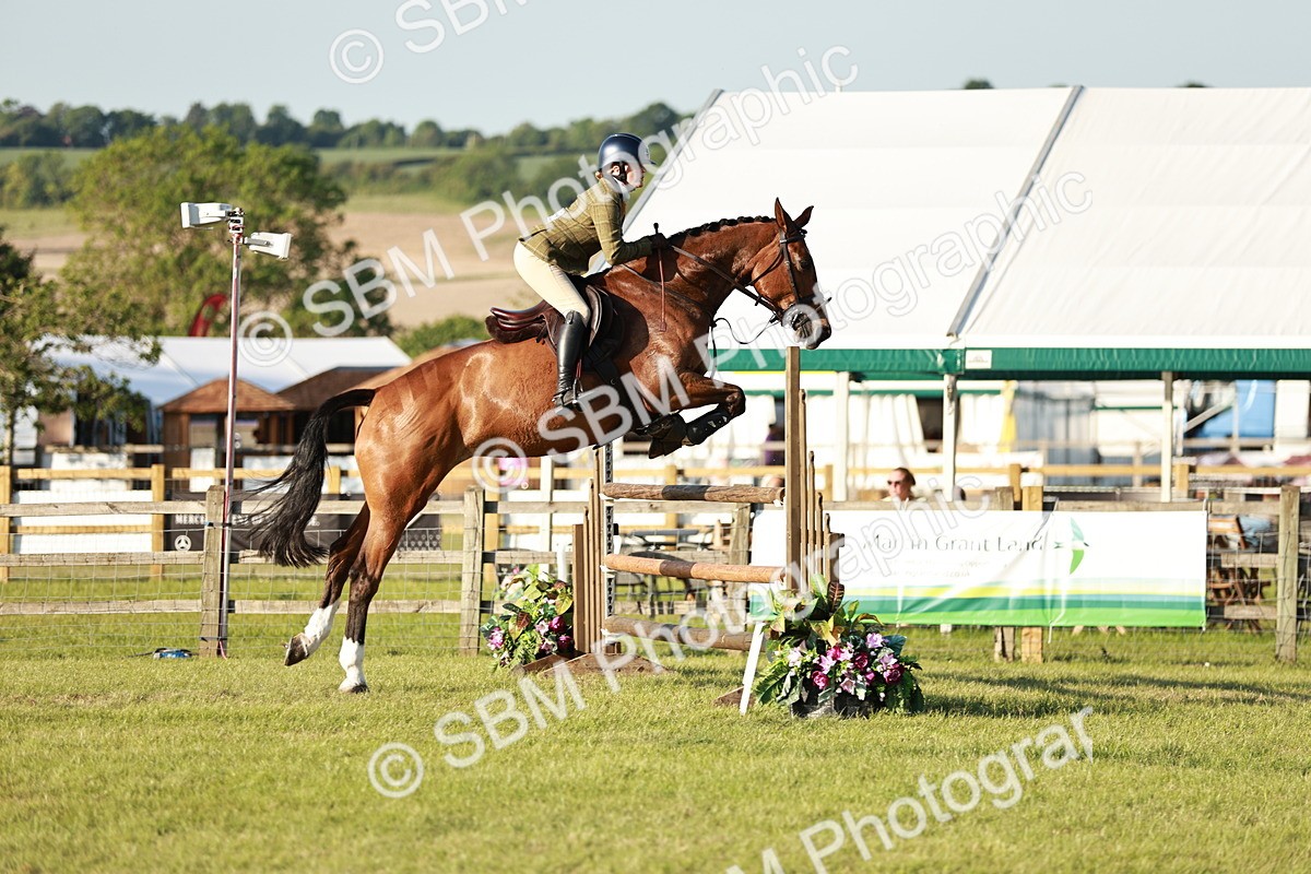 SBM_20381 - Class 117-119 - Sport Horse Working Hunter